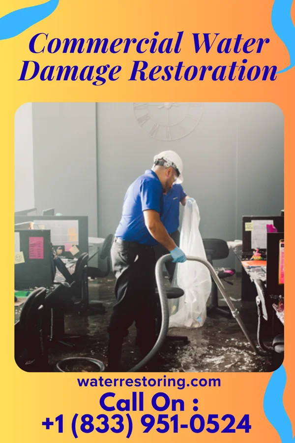 Commercial Water Damage Restoration in Palmer, IL