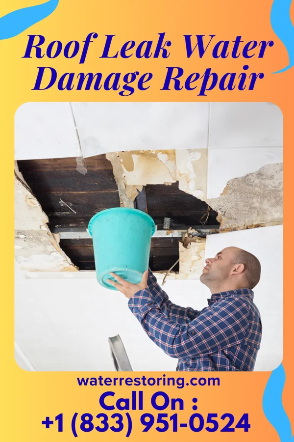 Roof Leak Water Damage Repair in Palmer, IL
