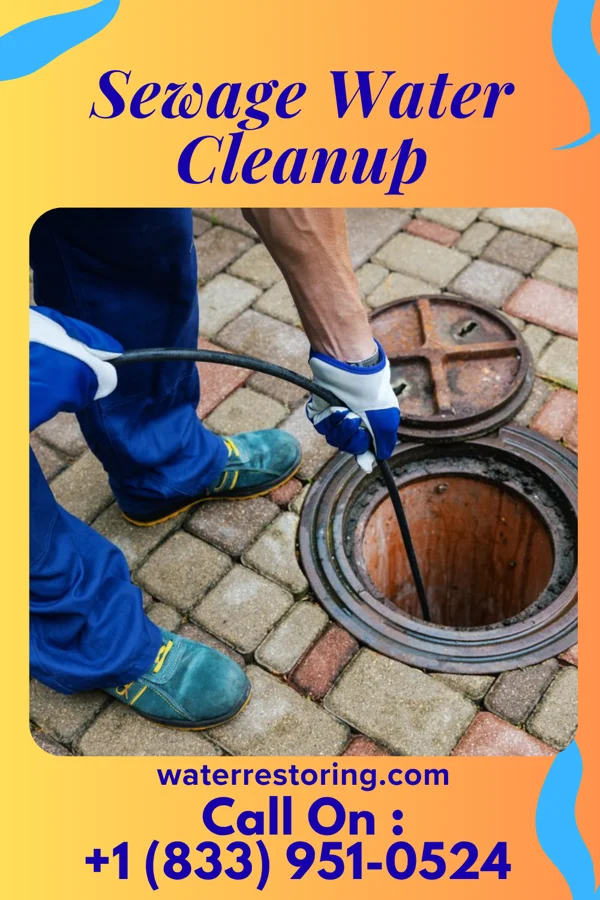 Sewage Water Cleanup in Palmer, IL